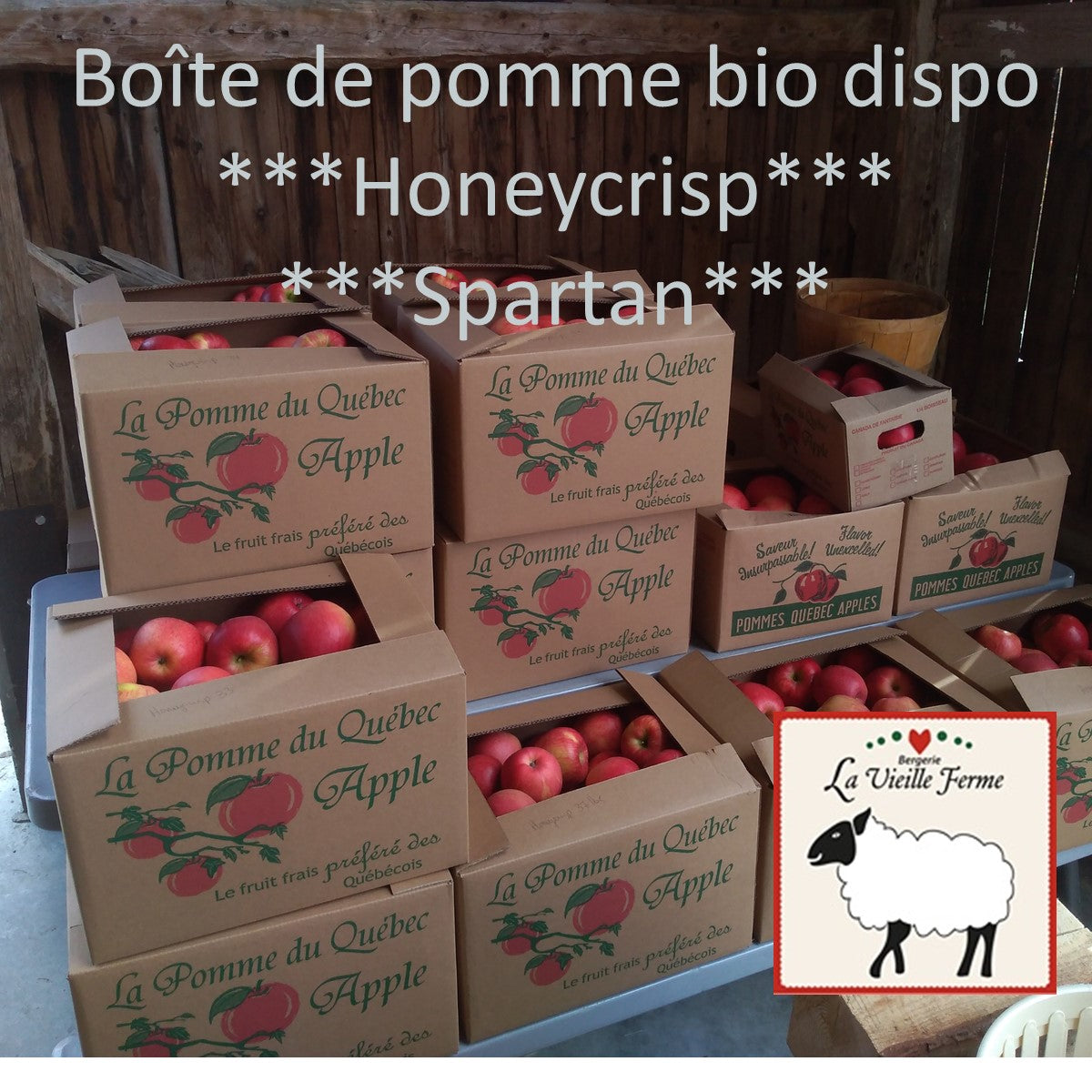 Boîte de Pomme bio honeycrisp